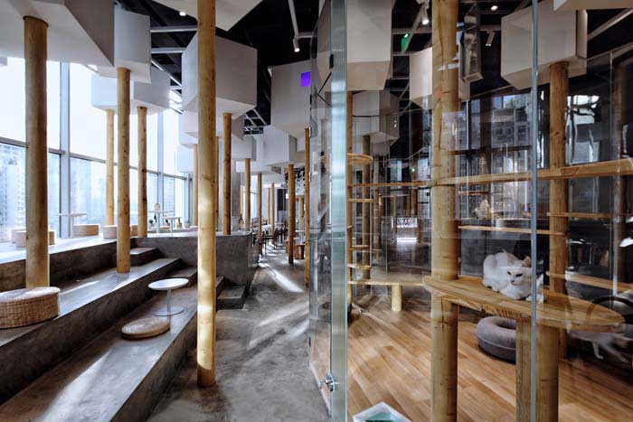 鄭州300m2動物主題咖啡廳設(shè)計效果圖