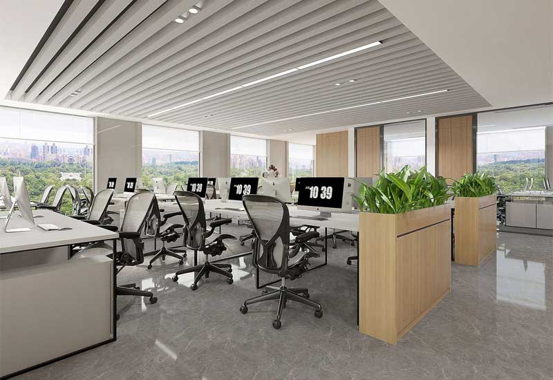 鄭州辦公室裝修設計的綠植種類：耐陰與易養護品種